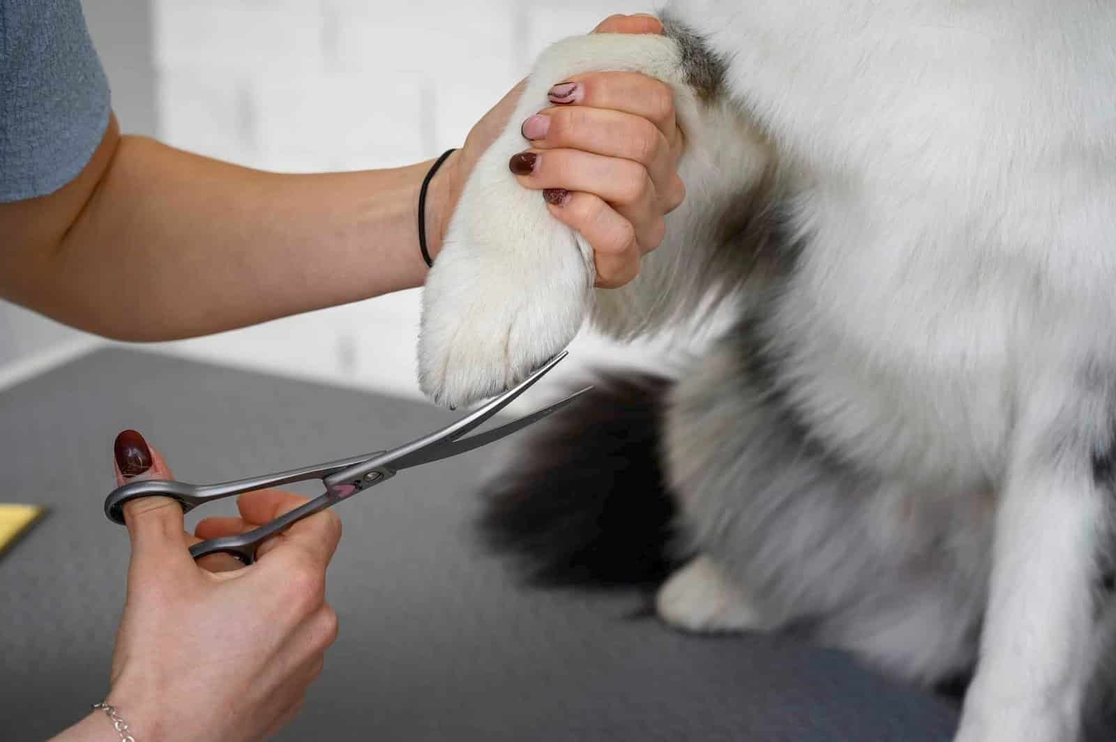 Nagels knippen, voorzichtig en geduldig